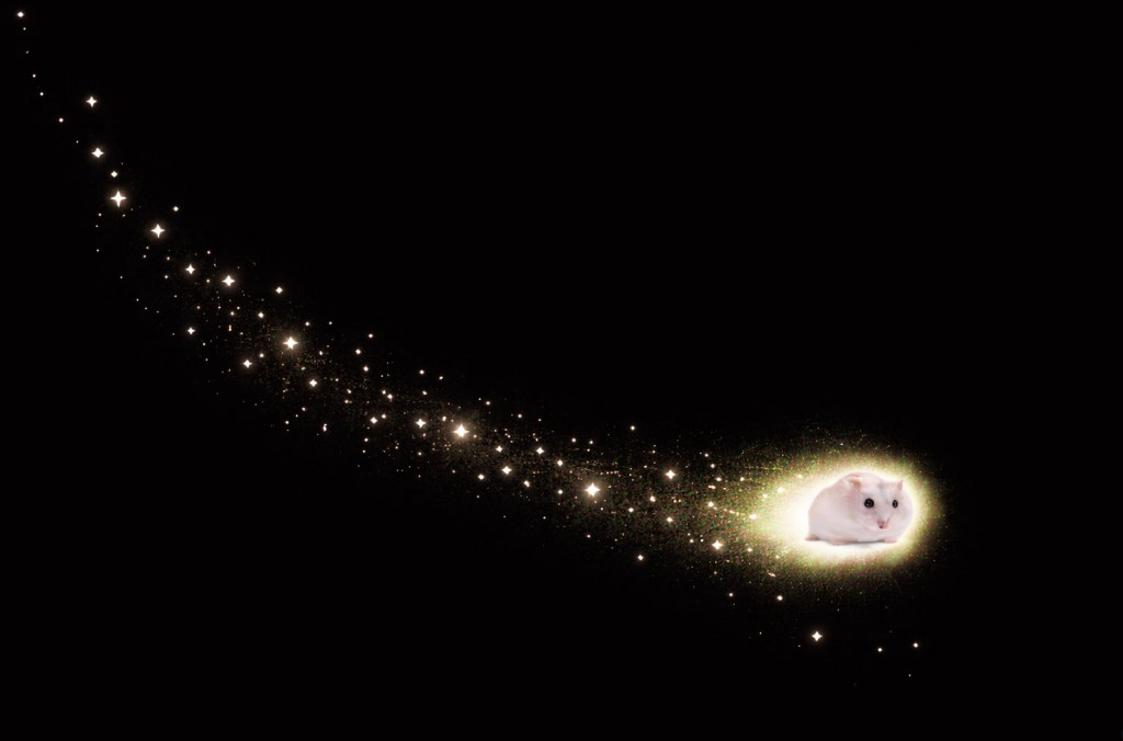 This flying hamster is going viral on X.

There is a new trend where people put images of their hamster flying through space

$TFH - The Flying Hamster