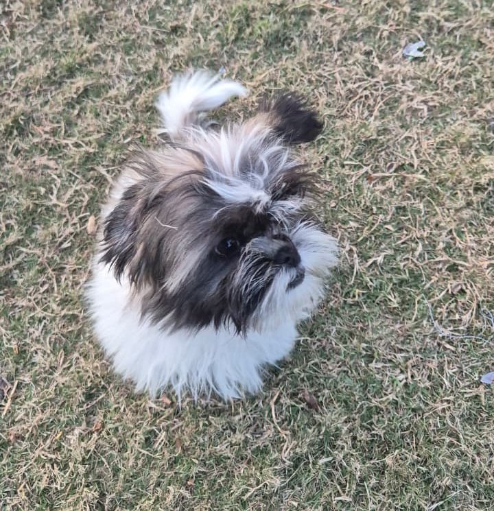 The Conqueror 🤌🏻❤️