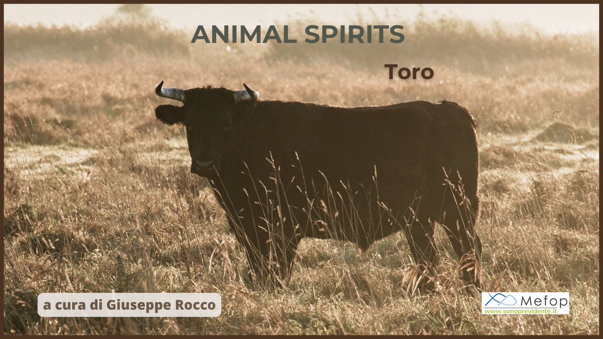 MEFOP's tweet image. Chi aderisce ad un #fondopensione spera in una crescita del proprio capitale, ma deve ricordare che la #previdenzacomplementare è un investimento  che attraversa cicli diversi.
La riflessione nell'ultimo numero di Animal Spirits #sonoprevidente

👉sonoprevidente.it/.../not.../ani…