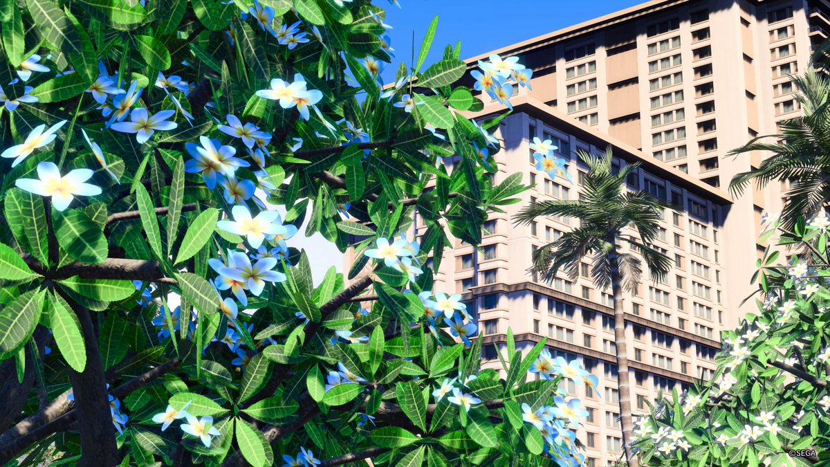これはなあに？
青いプルメリア？可愛いね。

アナコンダ・ハーバーパーク（龍が如く８）
