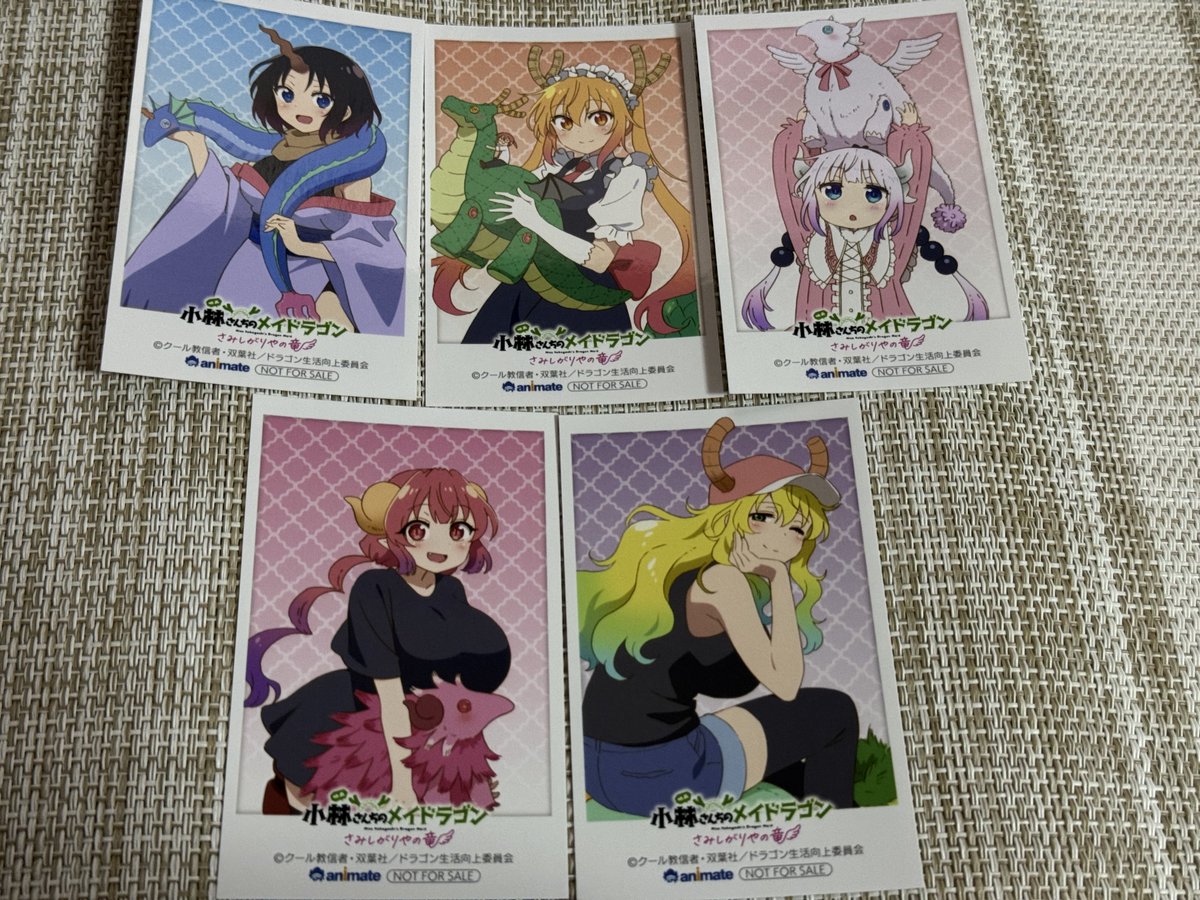 小林さんちのメイドラゴン！ さみしがりやの竜！ Blu-ray！！ ｷﾀ