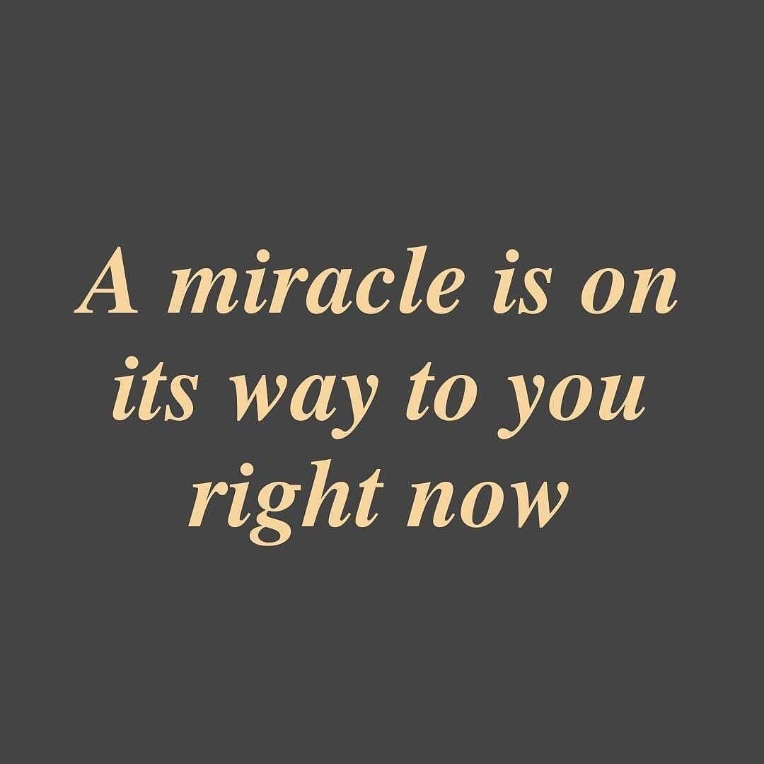 Blossomcourage's tweet image. 