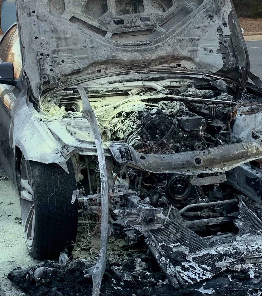 Francesca Leader tweet media