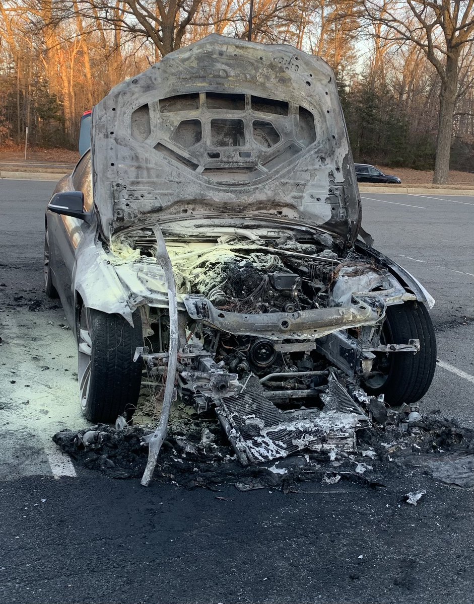 Francesca Leader tweet media