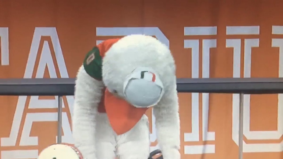 Will Manso tweet media