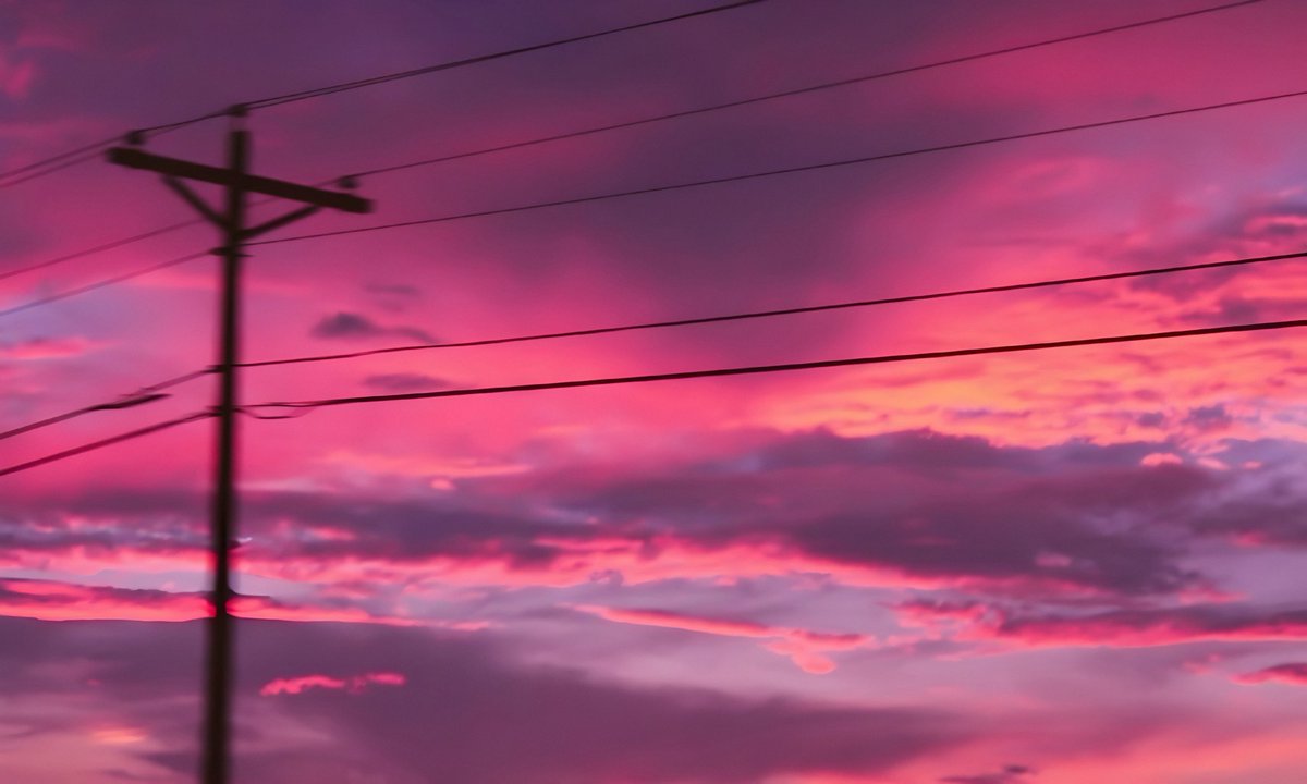 gardenofcolours's tweet image. 