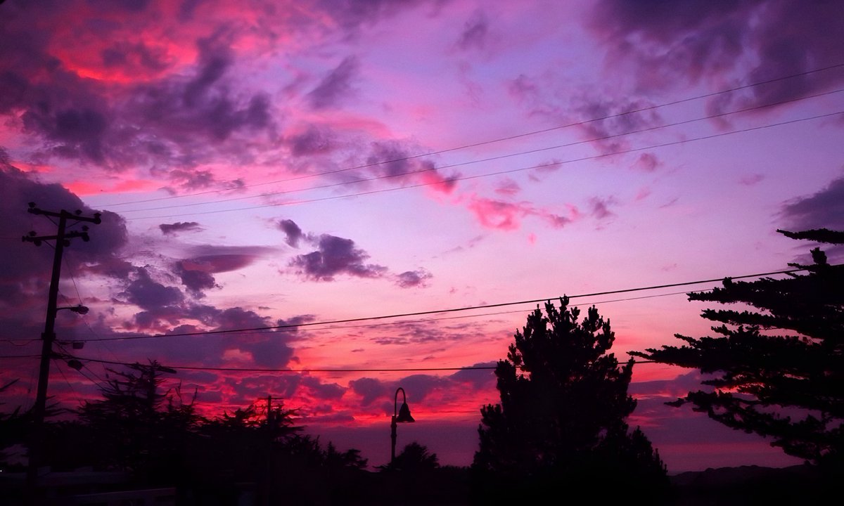 gardenofcolours's tweet image. 