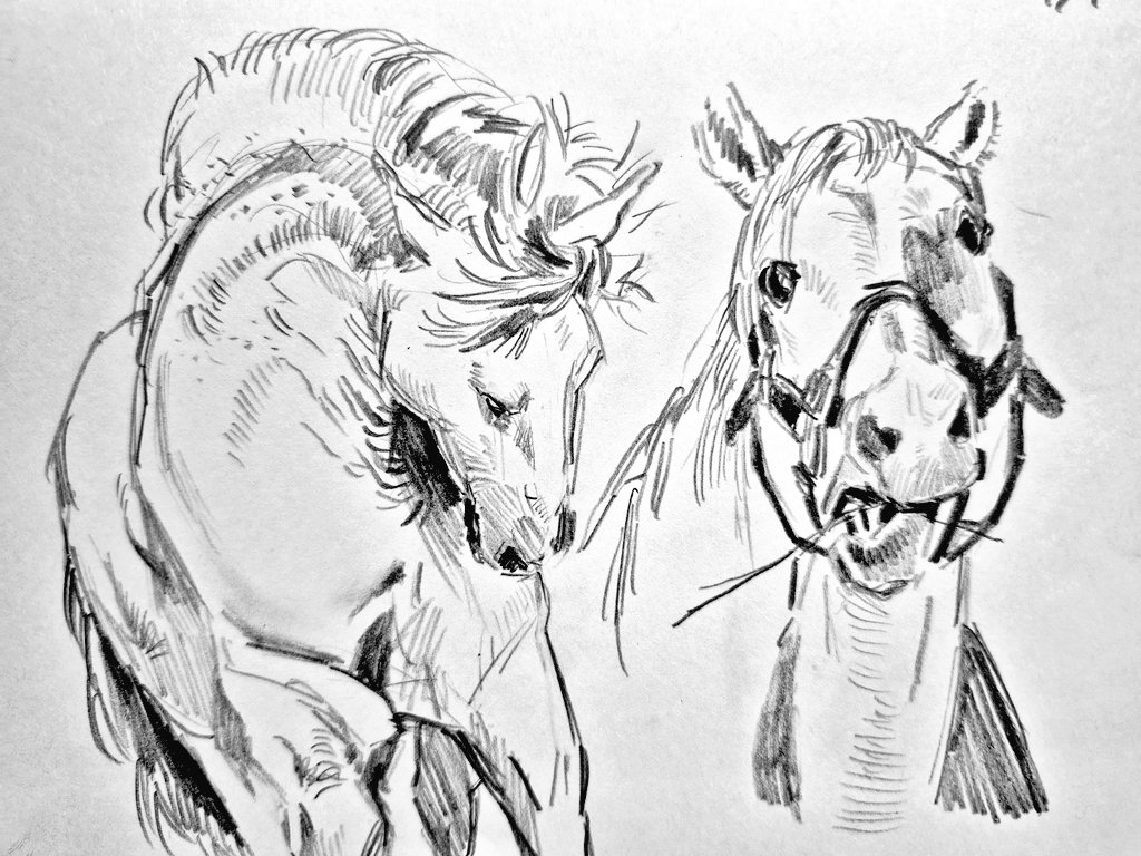 🐴