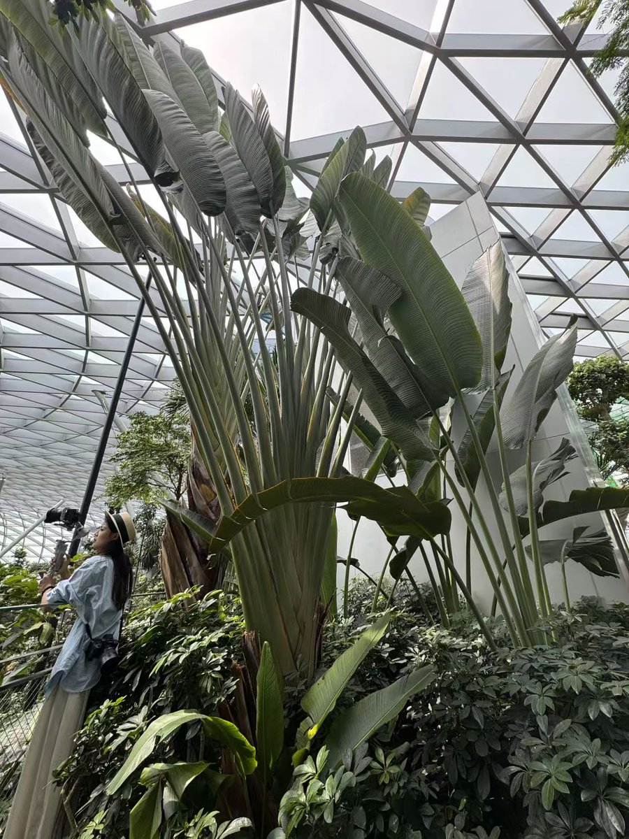 029西安夫妻皮皮虾 tweet media