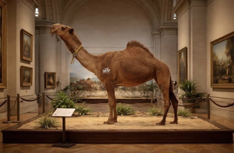 يزيد بن فهد tweet media