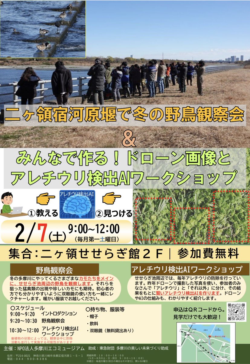 seseragikan's tweet photo. 保全担当です！
次回2月7日（土）の活動は「野鳥観察会」と「アレチウリ検出AIワークショップ」の二部構成です。

前半の野鳥観察は、愛好家の案内・双眼鏡無料レンタル付きで初心者も安心！
後半は、衛星の研究者と一緒に、外来植物を検出するAI構築に挑戦します。

皆さんふるってご参加ください！ https://t.co/daImoKcLAX