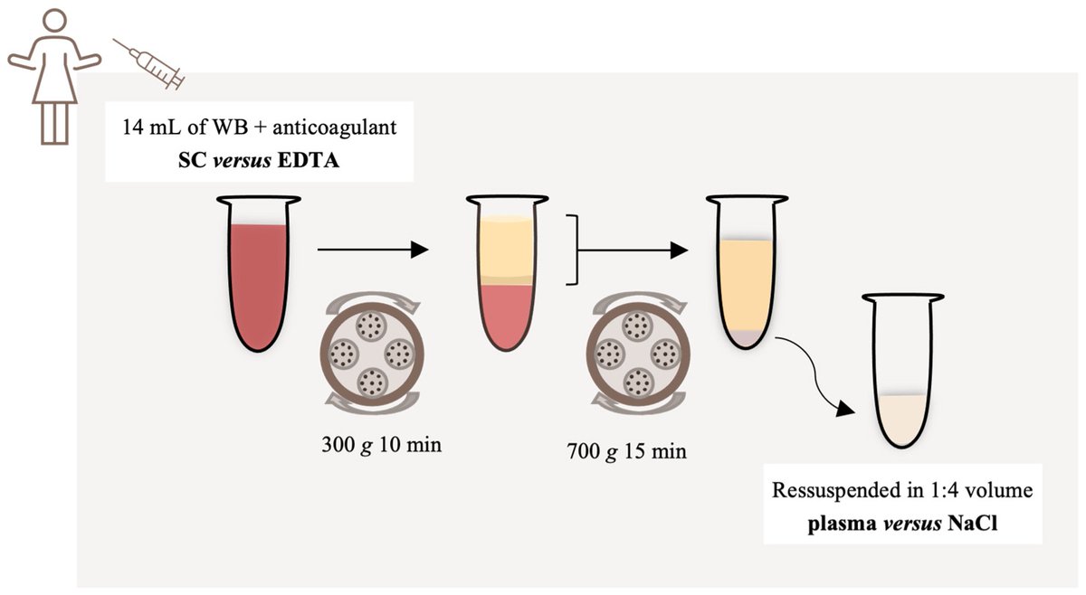 Bioeng_MDPI's tweet photo. ๐ฅHighly recommended publication: "Optimization of #Platelet-Rich #Plasma Preparation for #Regenerative Medicine: Comparison of Different #Anticoagulants and #Resuspension Media"
๐ https://t.co/tSYZqv4Ujj
๐ซ @CHUCoimbra @UBI_pt @UnivdeCoimbra https://t.co/nE7I3mUOic