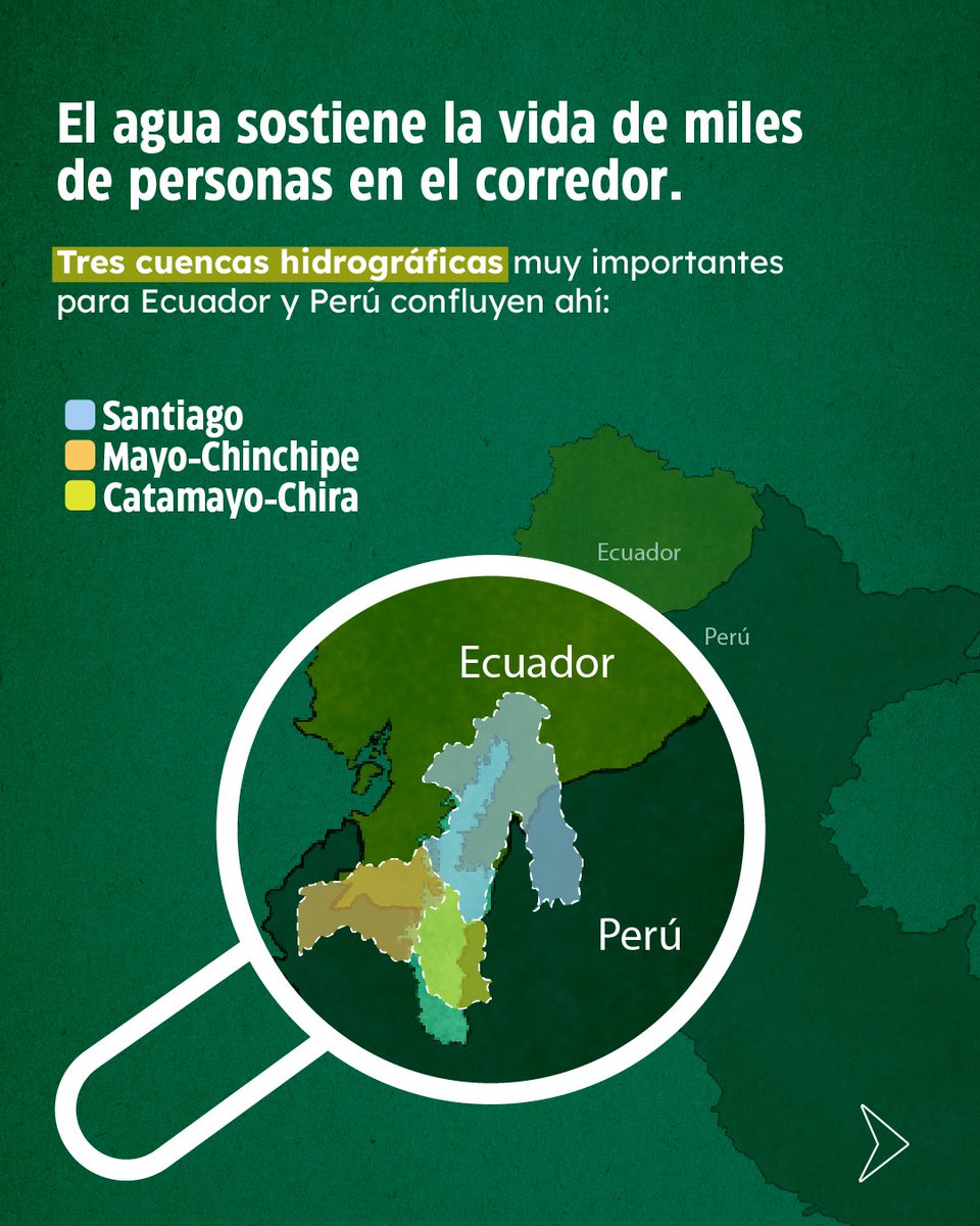 Plan Binacional Capítulo Ecuador tweet media