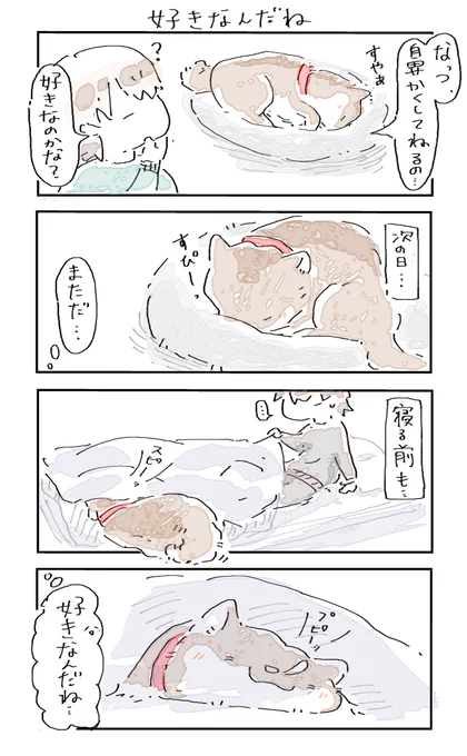 #4コマ漫画 #柴犬
好きなんだね 
