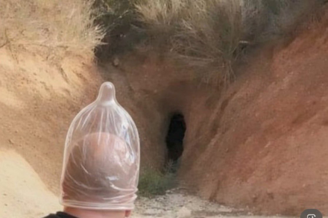 This image is just so funny😂😂 $pussycave
