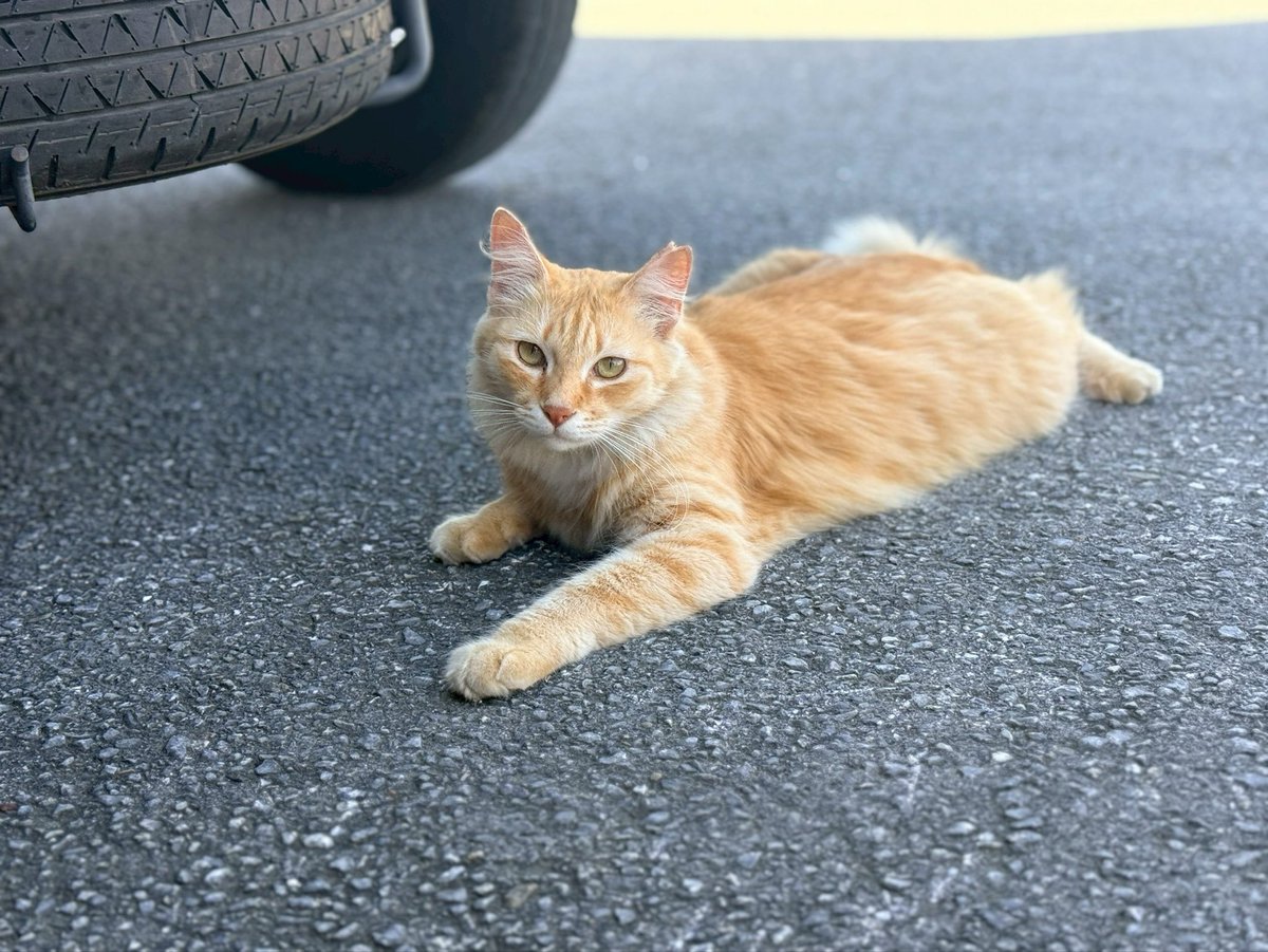 『#ラスボスになりたくて』新年1発目ありがとうございました！
沖縄ロケ！行ってまいりました✨
続報をお楽しみに〜！！