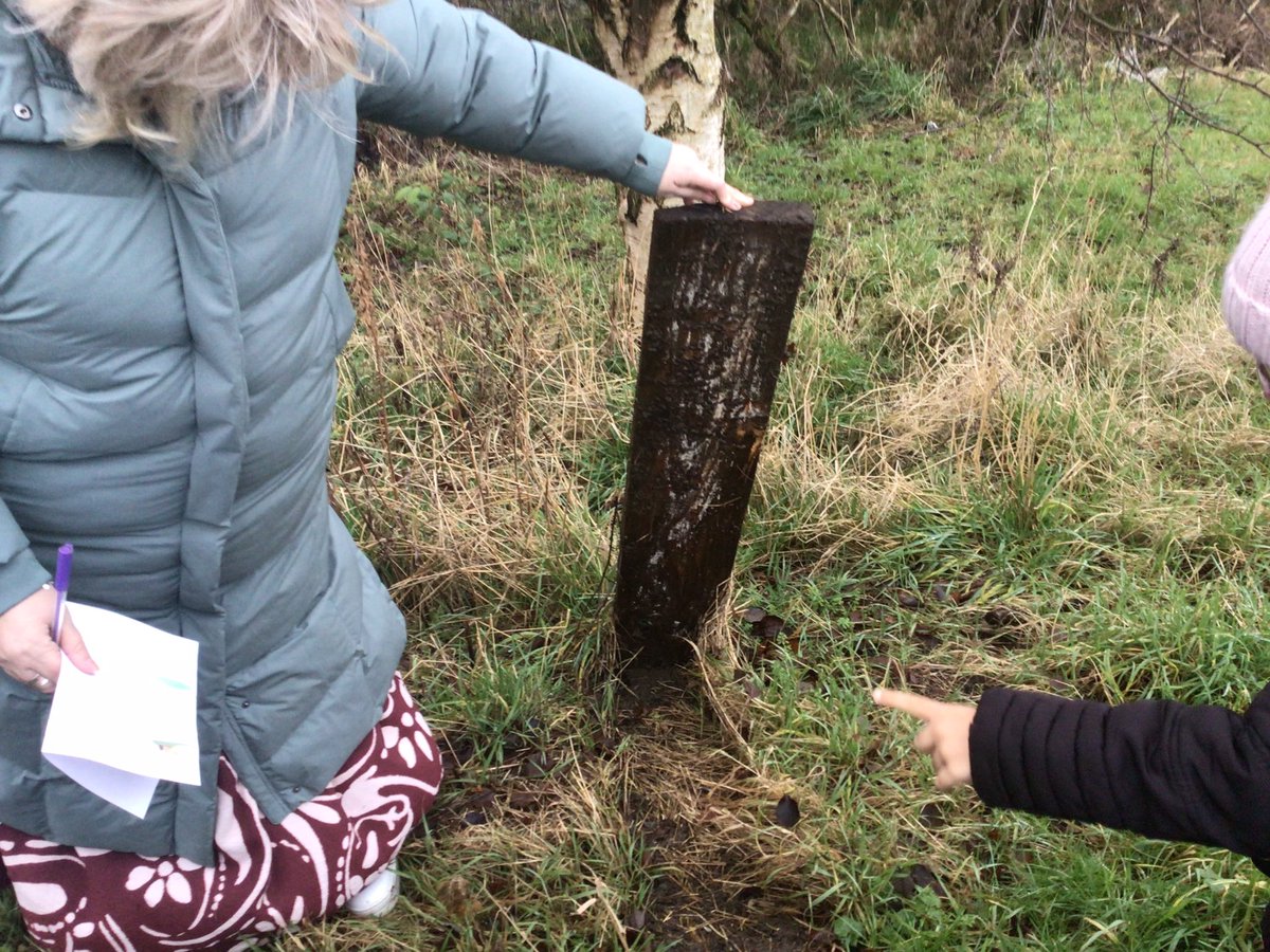 Byron Primary School tweet media