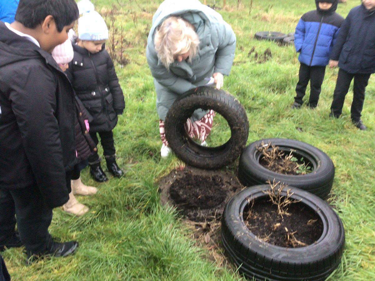 Byron Primary School tweet media