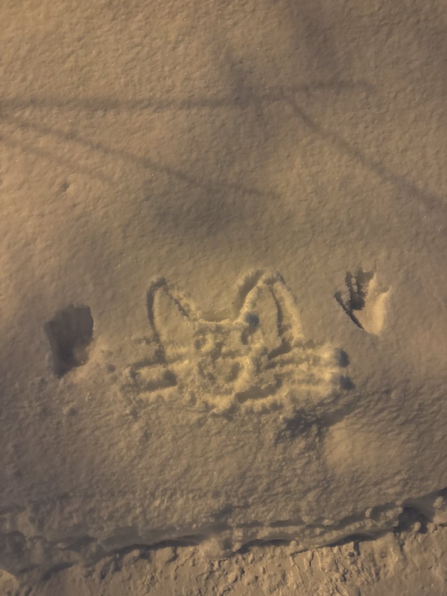 蓝扶手的飞机云 tweet media