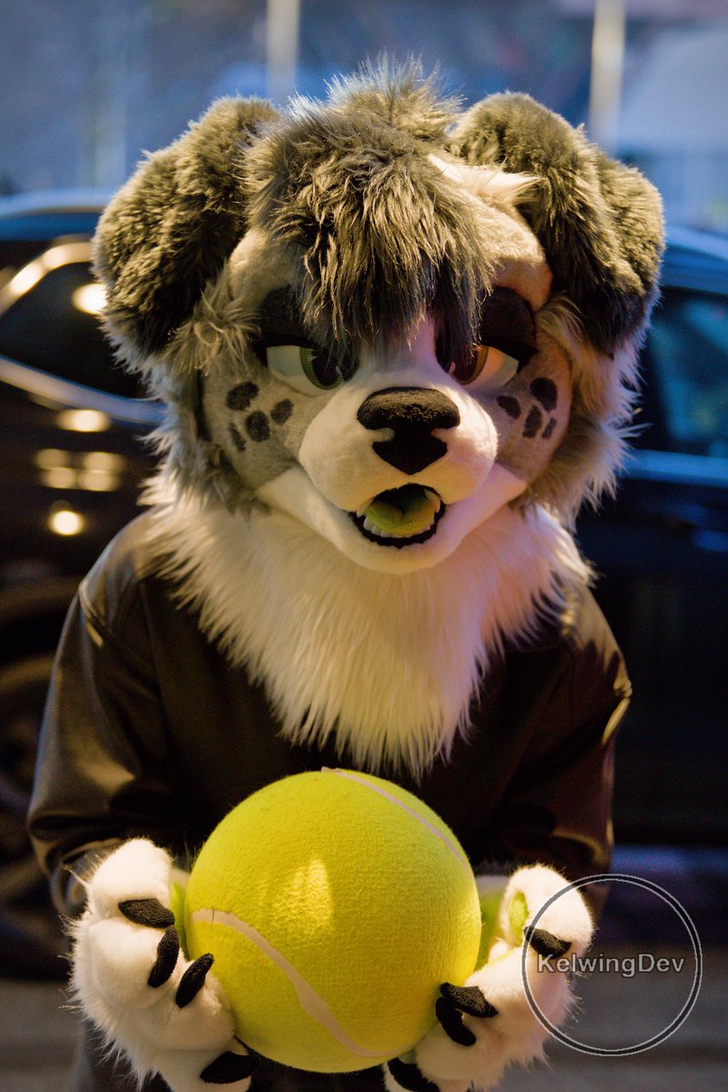 Charpuppy ⭐️ tweet media