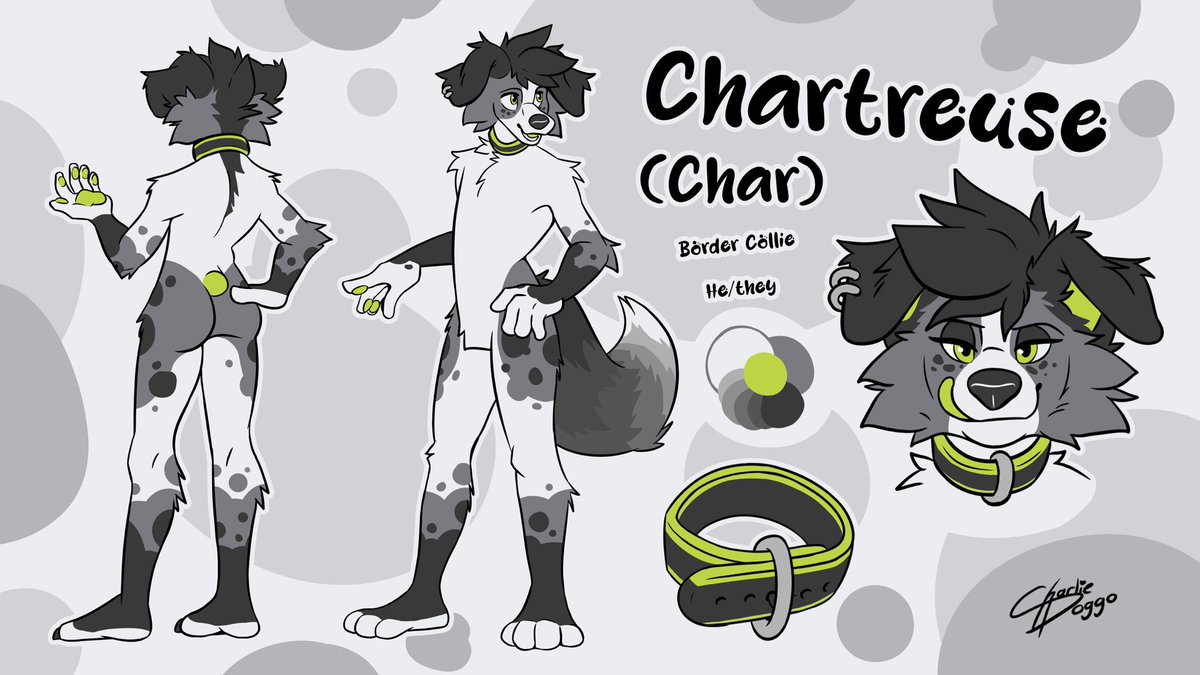 Charpuppy ⭐️ tweet media