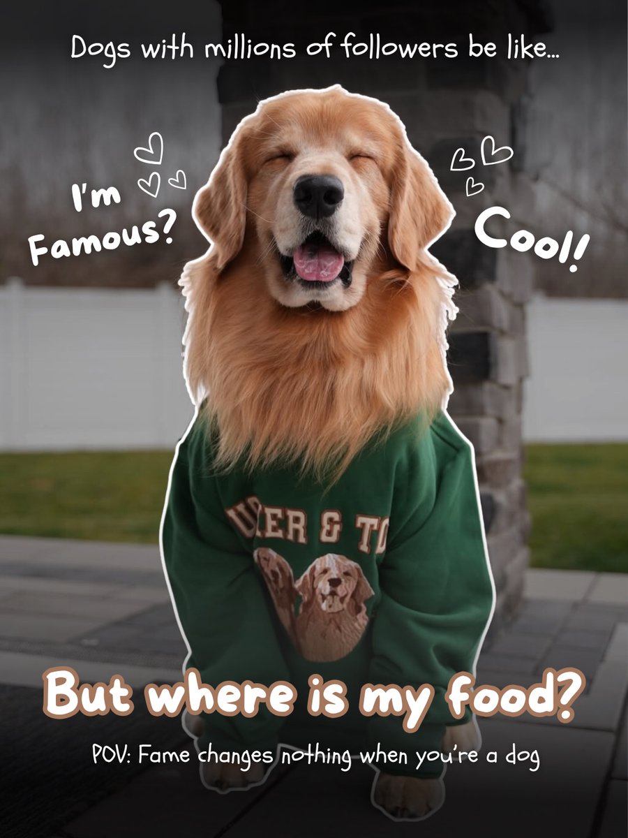 thepetgazette98's tweet photo. Fame level: High
Snack level: Never enough ๐ญ๐ถ
#tucker #goldenretriever #petlover #petlife #featuredpet https://t.co/hZ1pVqVPHe