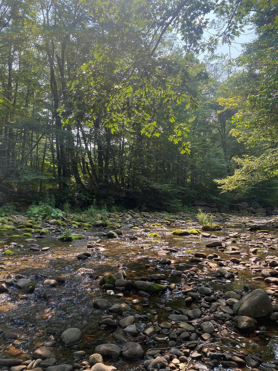 My thesis went from ~1000 pages of scattered notes to ~50 solid pages of math because of a single insight I had about the categorical wreath while camping next to a river in the summer with the girl I love. 

Nature is the muse.