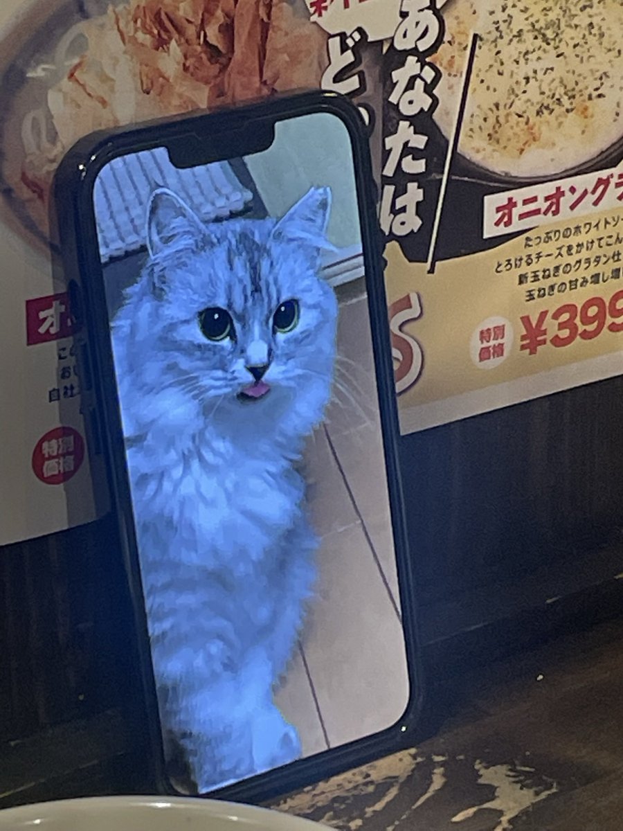 Yuji Ashik… の描いた猫　BARで飲む猫(人) Yuji Ashik… の描いた猫 BARで飲む猫(人) TAKI🐈‍⬛Cat