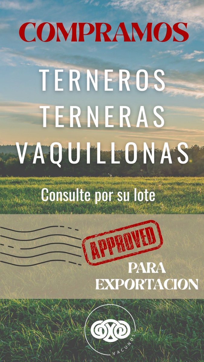 CarraMarcel's tweet photo. Les informados de diferentes pedidos no dude en llamarnos seguro hacemos un buen negocio @CentralLanera  y seguimos con las cargas de lanares en todas sus categorías https://t.co/2fhJ6Vds4X