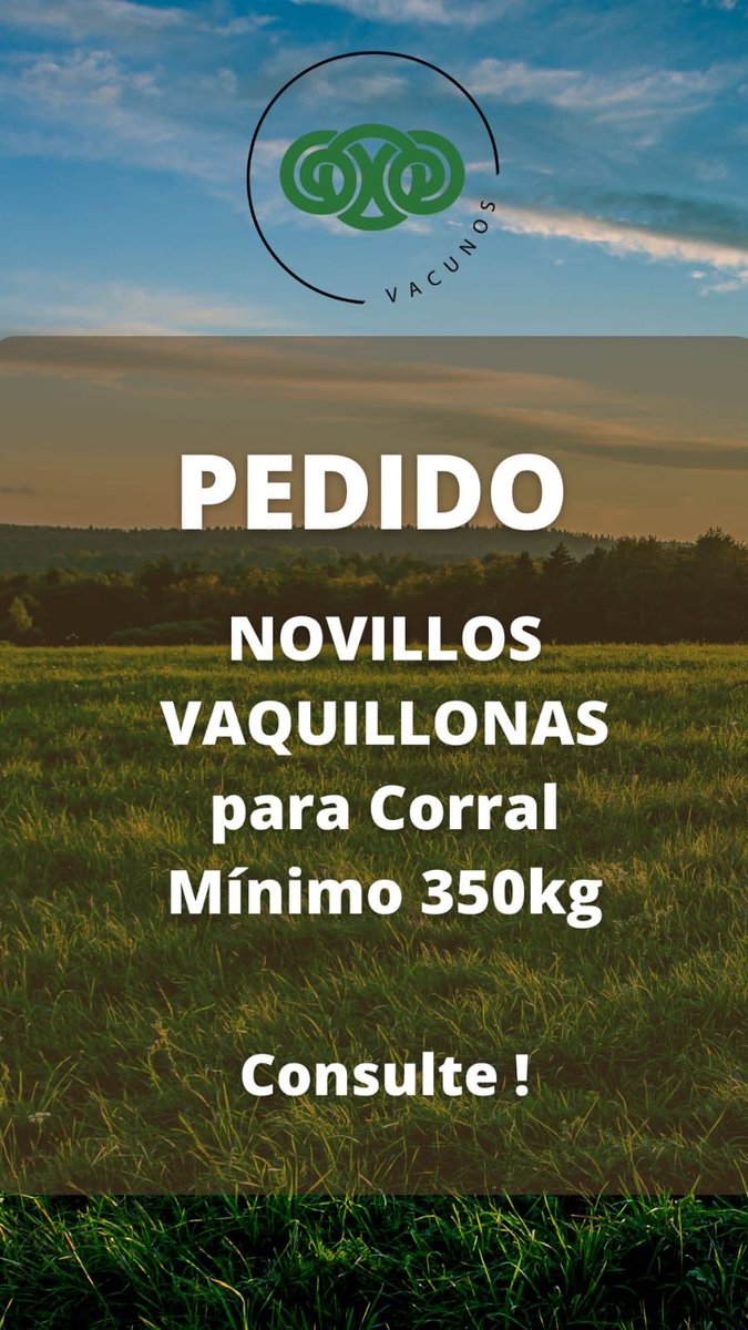 CarraMarcel's tweet photo. Les informados de diferentes pedidos no dude en llamarnos seguro hacemos un buen negocio @CentralLanera  y seguimos con las cargas de lanares en todas sus categorías https://t.co/2fhJ6Vds4X