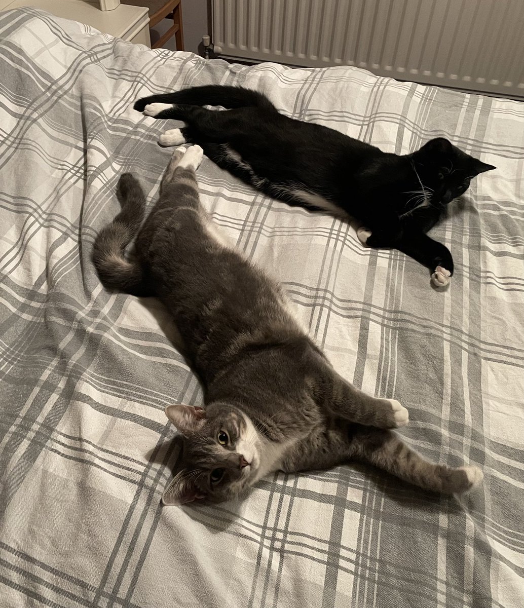 Simon Treasure Photography📷☕️ tweet media