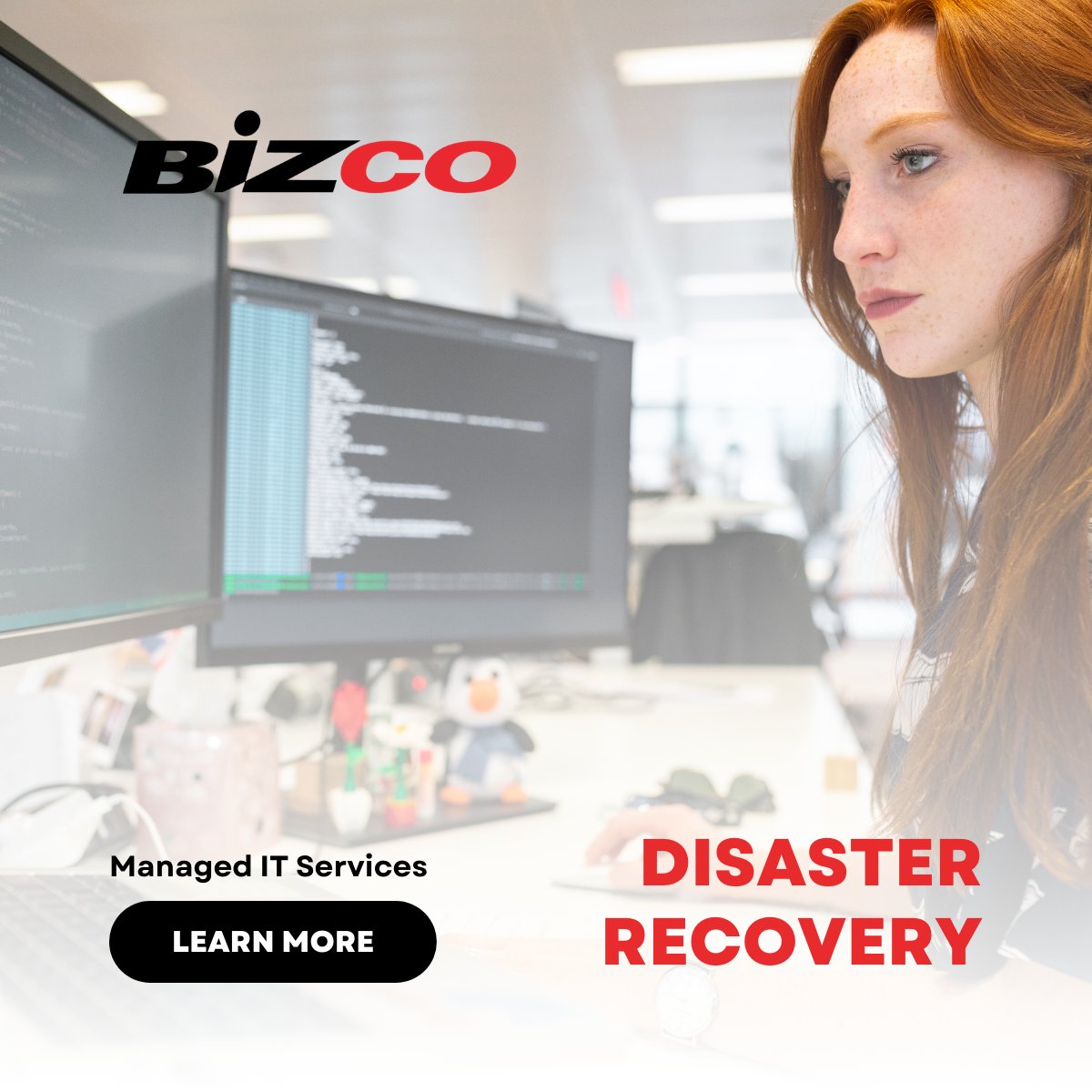 Bizco Technologies tweet media