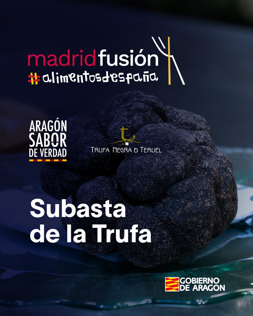 #madridfusion2026
La tradicional subasta de la trufa de Teruel tendrá lugar el martes 27 en el escenario Experience de Madrid Fusión Alimentos de España <a href="/aragonalimentos/">Aragón Alimentos</a> 

madridfusion.net/es/perfil/insc…