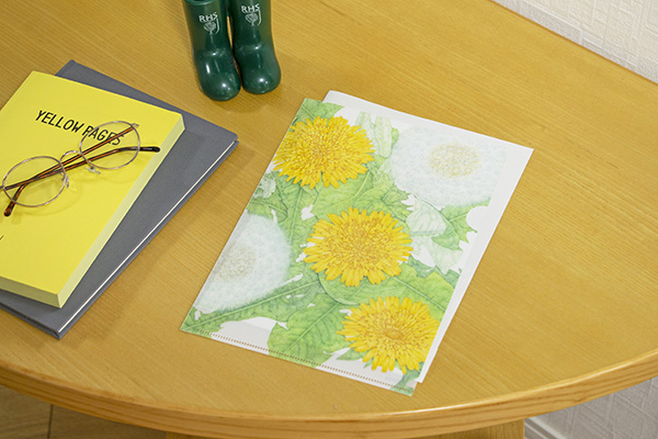 荒井真紀が描く「花・果物・野菜」🍓🌻🥦🫛🍍🍉🌷 荒井真紀 クリア