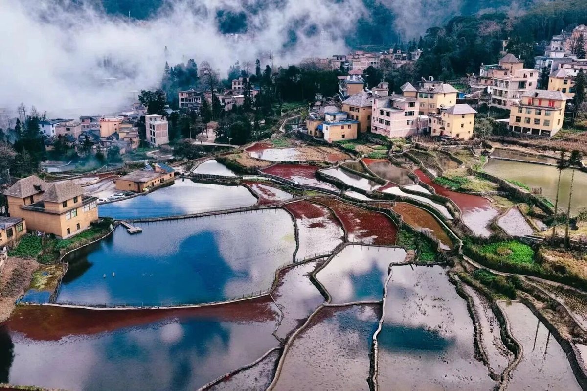 Xizheng（互fo） tweet media