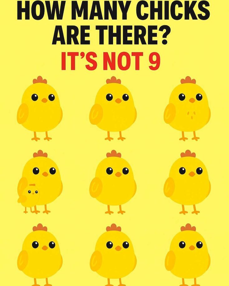 Lilly 🇦🇨 tweet media