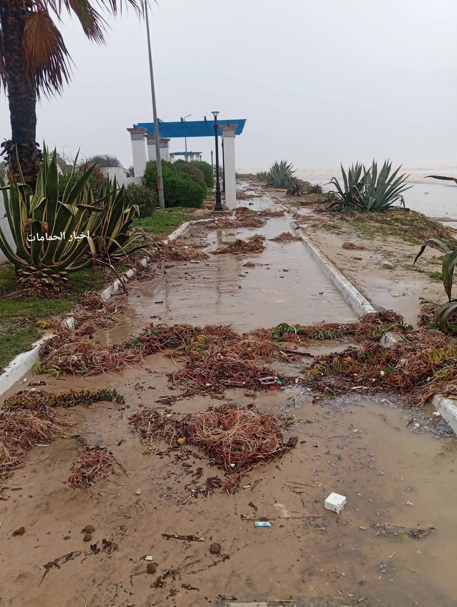 مخلفات عاصفة ⛈️ #هاري في مدينة الحمامات شمال شرقي #تونس 🇹🇳 #Harrystorm
