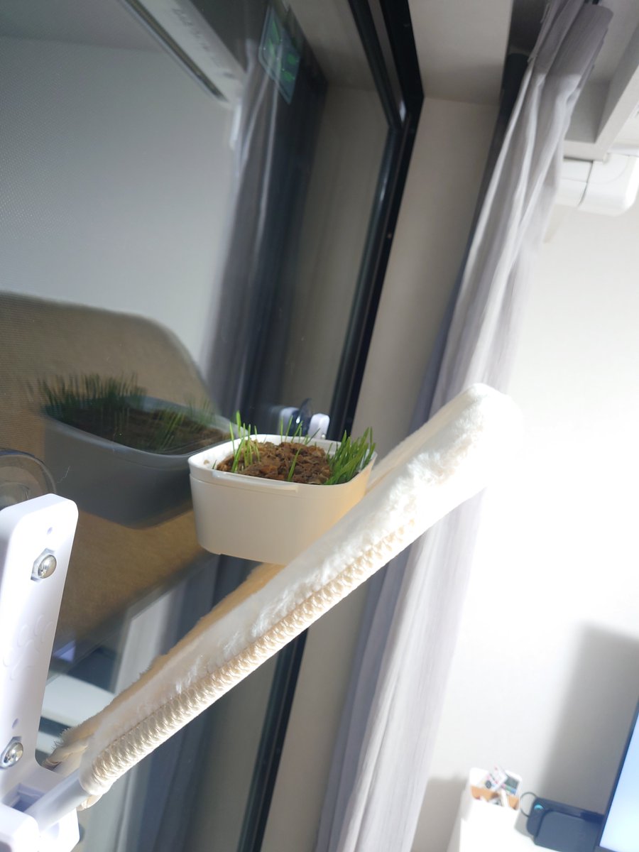 今これꉂ🤣🤣🤣 もうちょっとで美味しい🌱🌱🌱🌱できるからねぇ〜