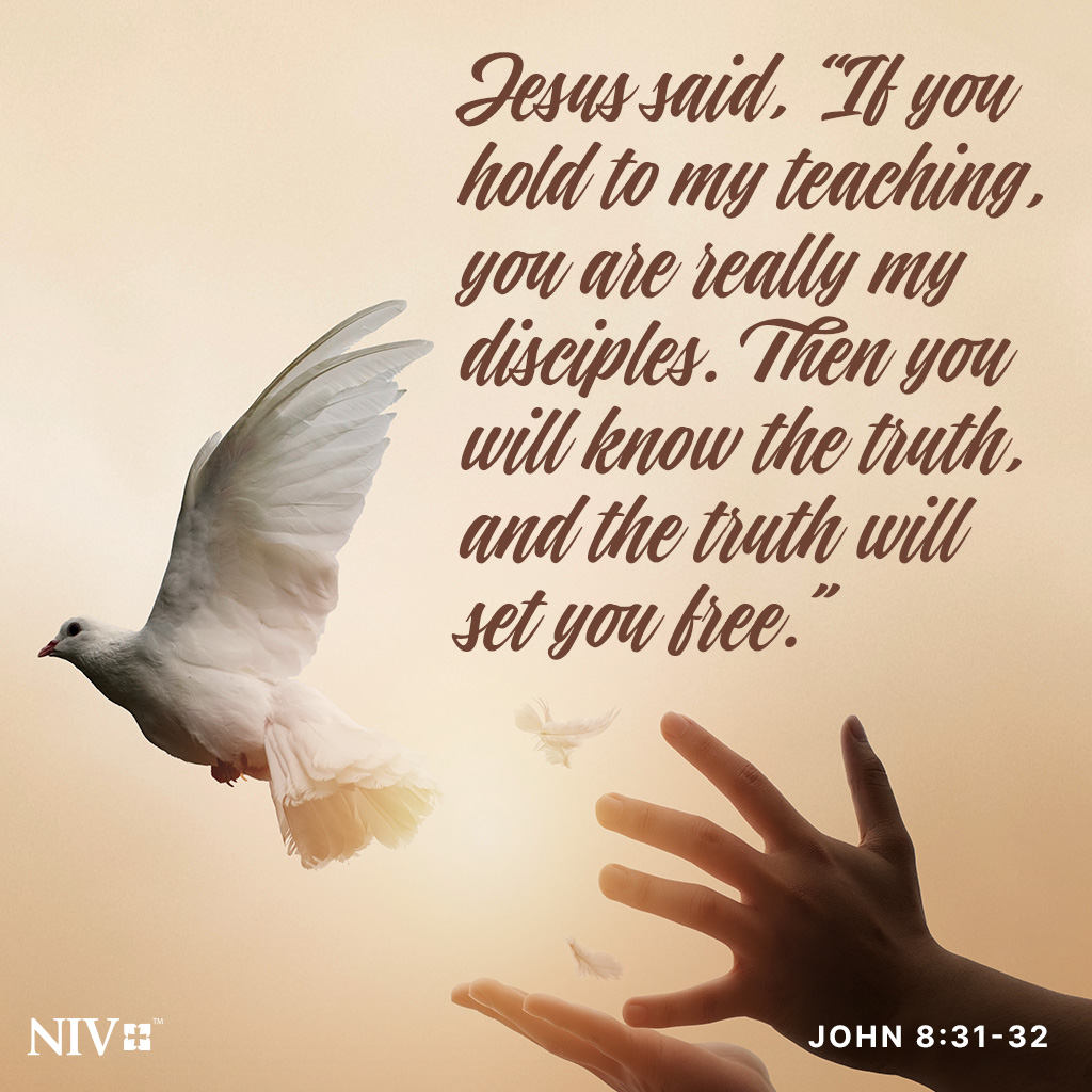 NIVBible's tweet image. To the Jews who had believed him, Jesus said, "If you hold to my teaching, you are really my disciples. Then you will know the truth, and the truth will set you free." John 8:31-32