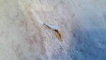 Een vloer van 1.500 m² natuursteentegels leverde veel discussie op: vlakheid, voegen, kleurverschil en krassen. Wat bleek na technisch onderzoek van TBA?

👉 Lees hier het hele verhaal en ontdek de oplossing: ow.ly/sFZv50Xr3eN

#natuursteen #technischbureauafbouw