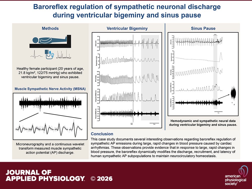 Journal of Applied Physiology tweet media