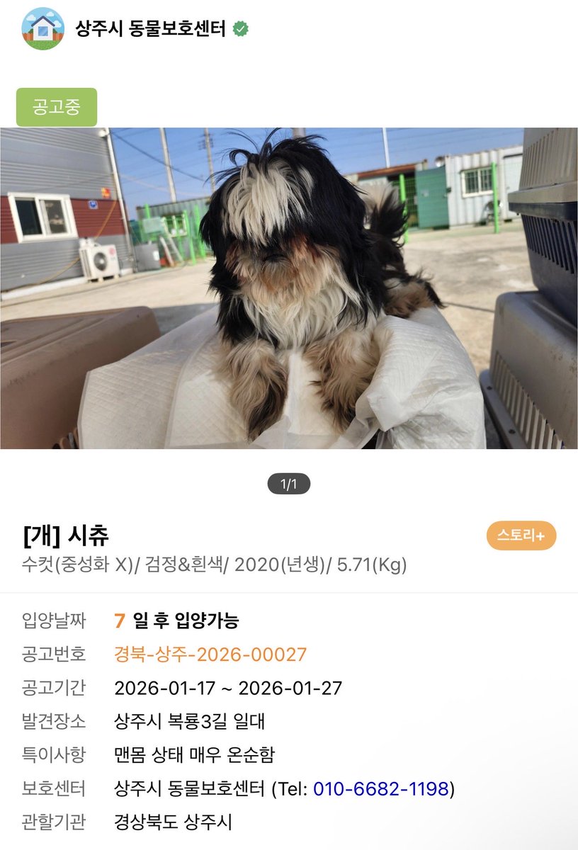 dongeulttolmang's tweet image. 헉 너무 귀여운 츄츄