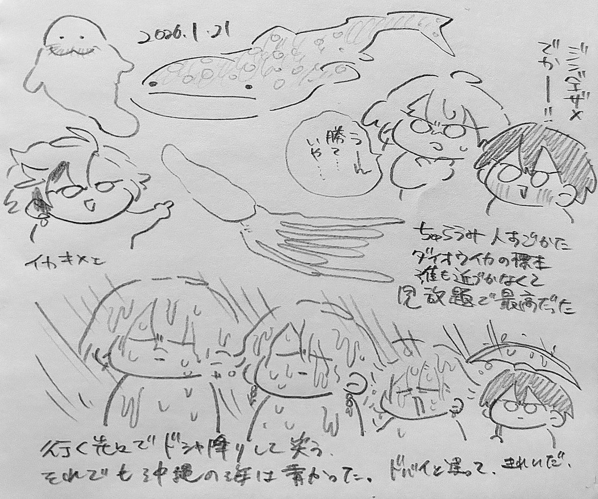 💩🐏 (@seeeeep_n52) / Posts / X