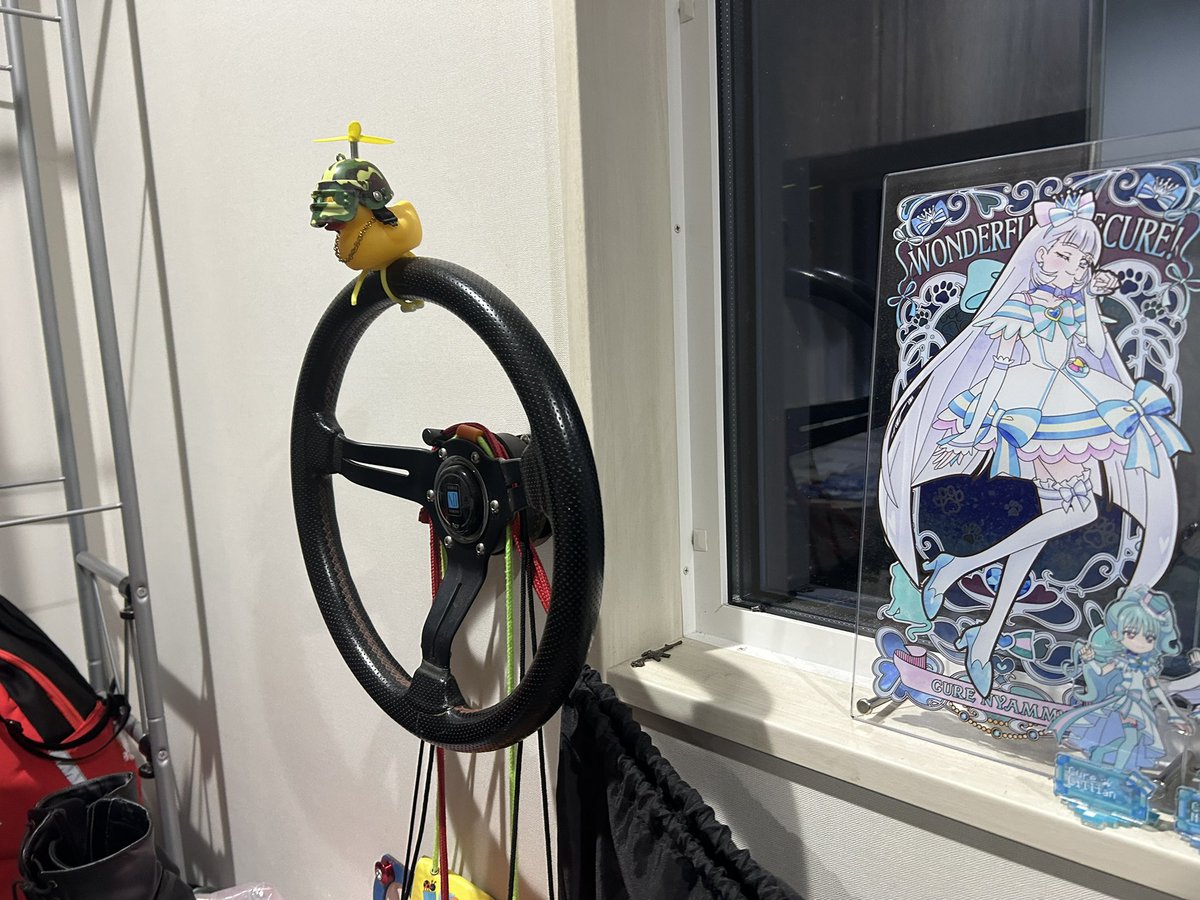 アルトには安物ハンドル付けるくせに 玄関にはナルディとラフィックスが物干しとして使われてる意味分からん状況