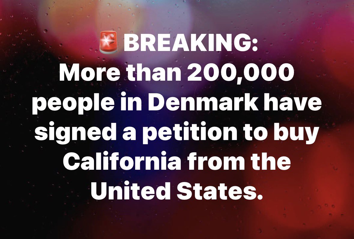 DK🇺🇸🦅🇺🇸 tweet media