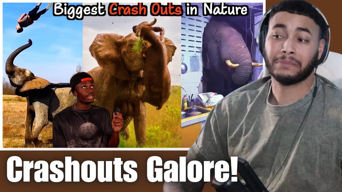 The Most Generational Crash Outs in the Animal Kingdom Indeed lol

youtube.com/watch?v=Bqtdk0…