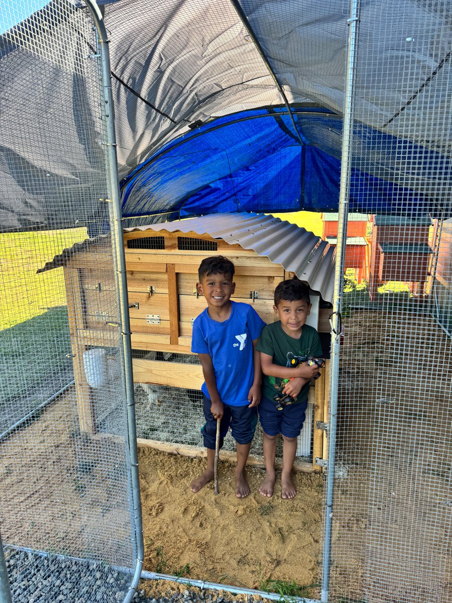 roostnroot's tweet photo. Having chickens is one of the best ways to teach your kids about where their food comes from and how to care for animals responsibly! https://t.co/KGDflFsNIU