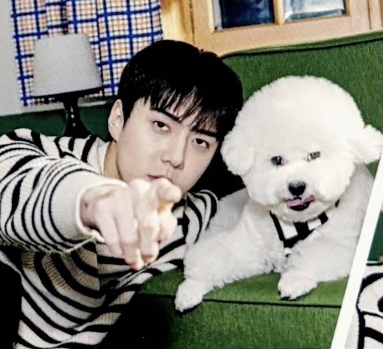 BubbleSaii_'s tweet image. มีแฟนถามถึงวีวี่

เซฮุน : วีวี่ดูเหมือนจะแก่ลง พอกลับถึงบ้านก็ไม่ค่อยออกมาแล้ว มักจะไปหลบอยู่ตามมุม ต้องเรียก “วีวี่!” น้องถึงจะยอมออกมา ดวงตาก็ดูขาวๆ คล้ายเป็นต้อกระจกเลย รู้สึกรู้สึกเจ็บปวดใจ

😭😭😭😭อย่าป่วยไปมากกว่านี้เลยนะเจ้าวีวี่ แข็งแรงๆนะ อยู่ด้วยกันกับพี่เซฮุนไปนานๆ