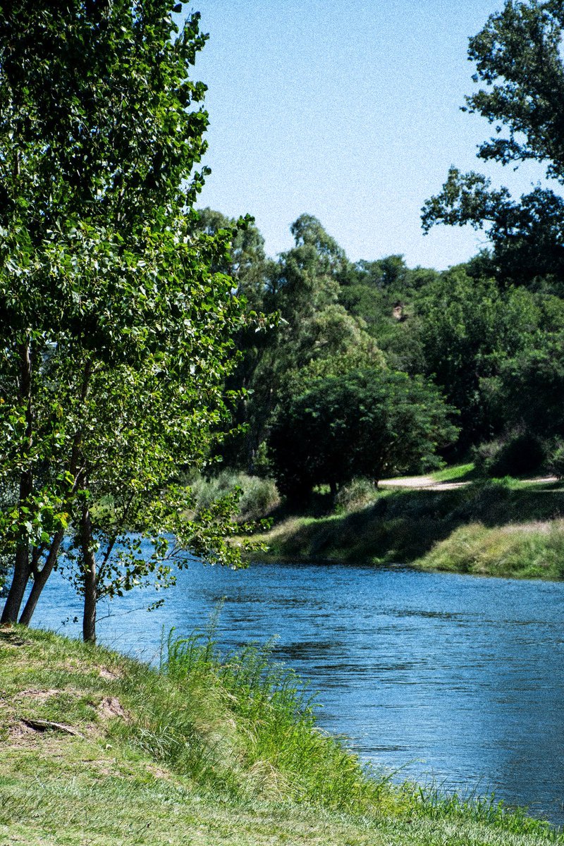 Micka Hubeli tweet media