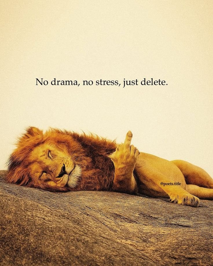 Mindful Maven (@mindfulmaven_) on Twitter photo 